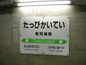 800px-JR_Hokkaido_Tappi-kaitei_station_nameplate