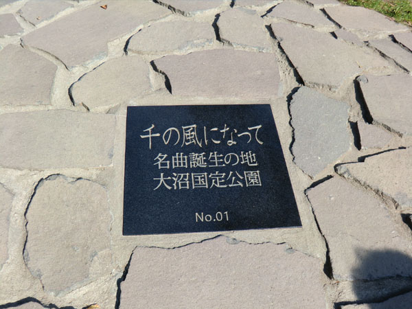 CIMG1385