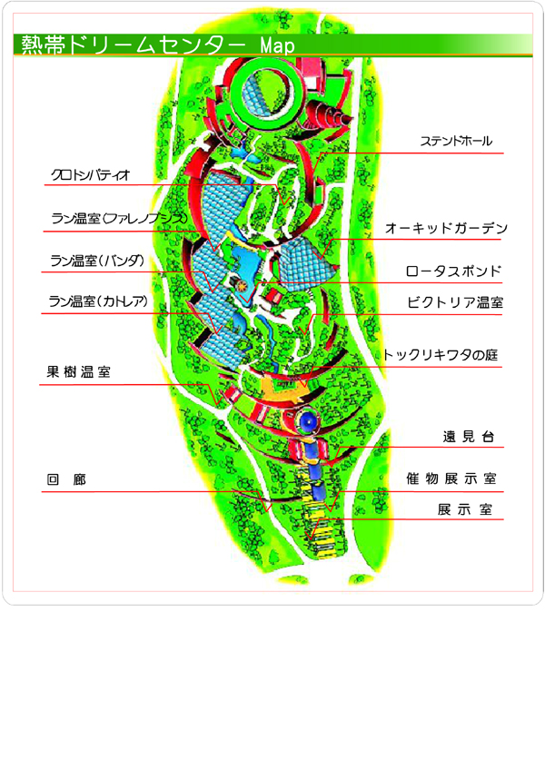 熱帯ドリームセンターのコピー