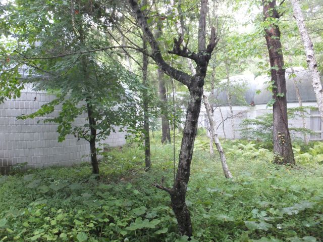 DSCF0440