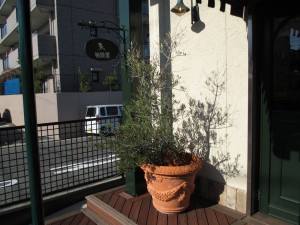 IMG_0246