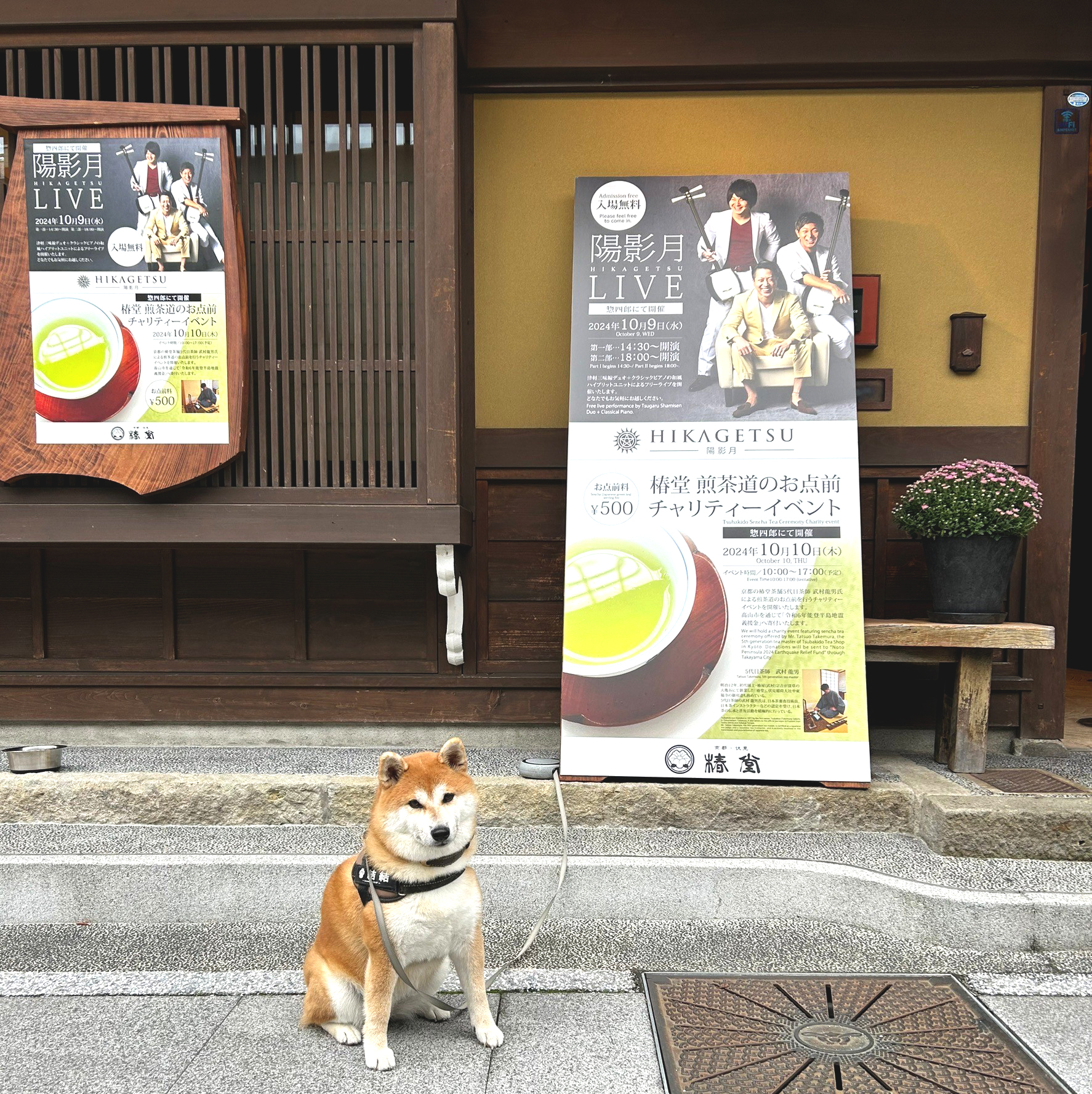 建築企画室通信「高山町屋 惣四郎イベント」