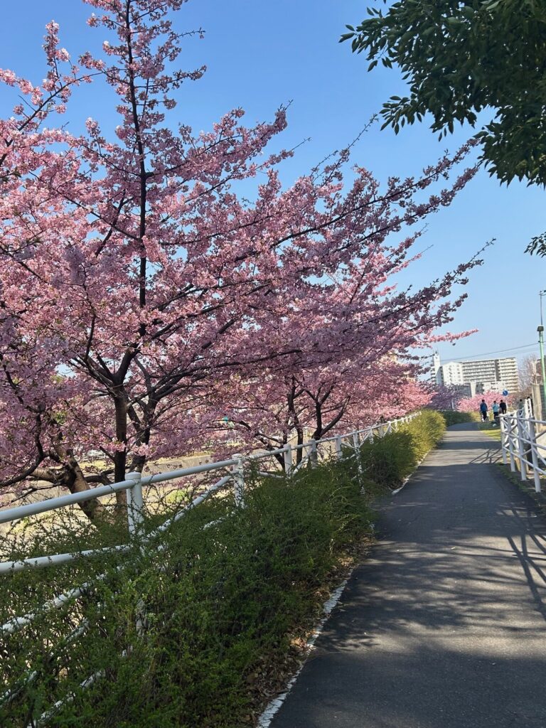 初めての雪国生活