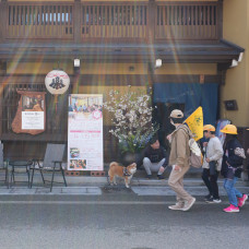 ワンコインハートご報告
