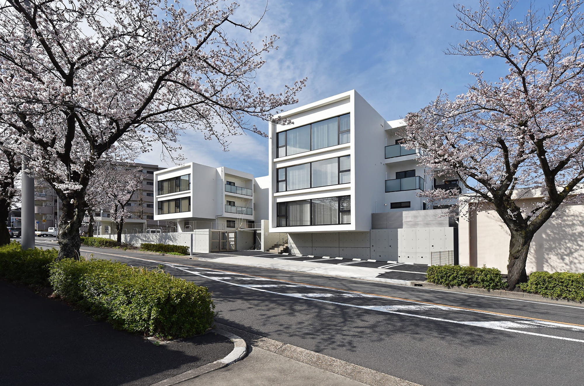 施工事例：桜並木沿いに建つ白い外観の集合住宅